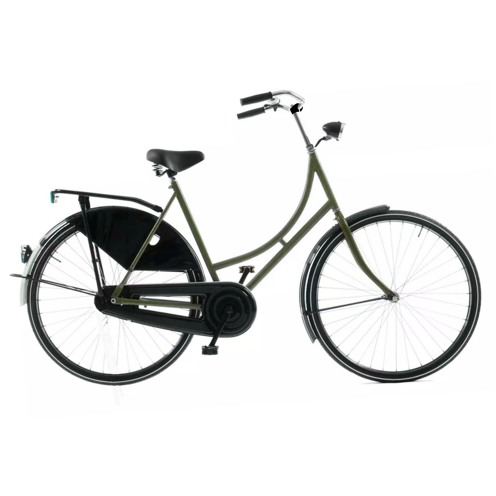 Tips Kliniek Gaan wandelen Omafiets kleur - Cycletech groothandel in fietsen en onderdelen